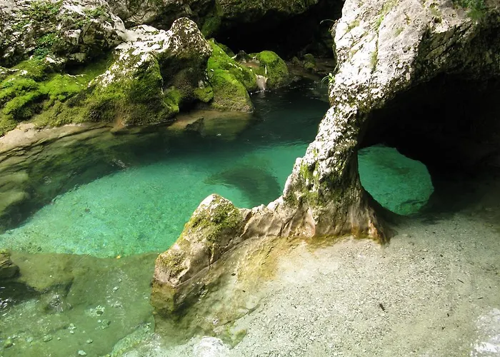 Ana Antloga 아파트 블레드